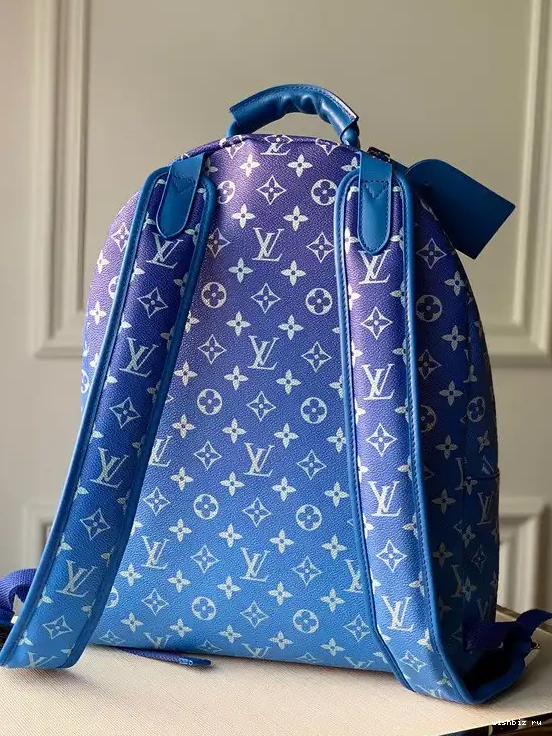 WIS BACKPACK VUITTON LOUIS 0519